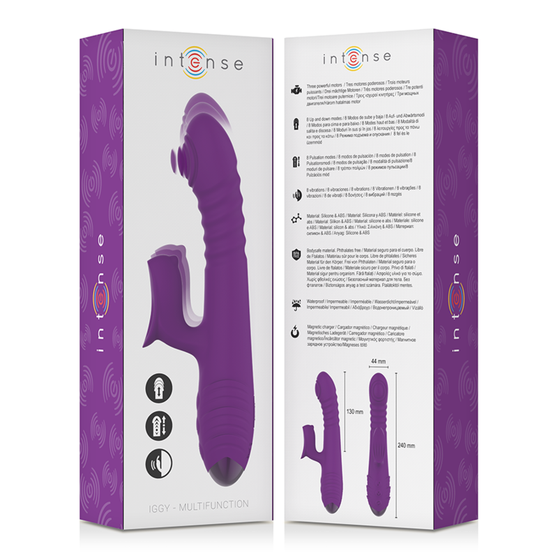 INTENSE - VIBRATEUR RECHARGEABLE MULTIFONCTION IGGY UP DOWN AVEC STIMULATEUR CLITORAL VIOLET