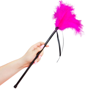 SECRETPLAY - PLUMES ROSE 40 CM